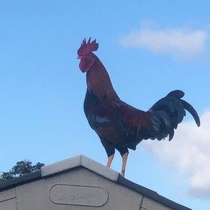 Meet your Posher, Américo